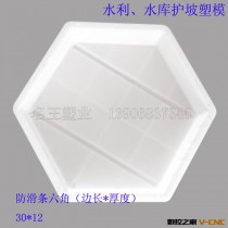 水利水库生态景观河道护坡 防滑条六角塑料模具 其他塑模定制